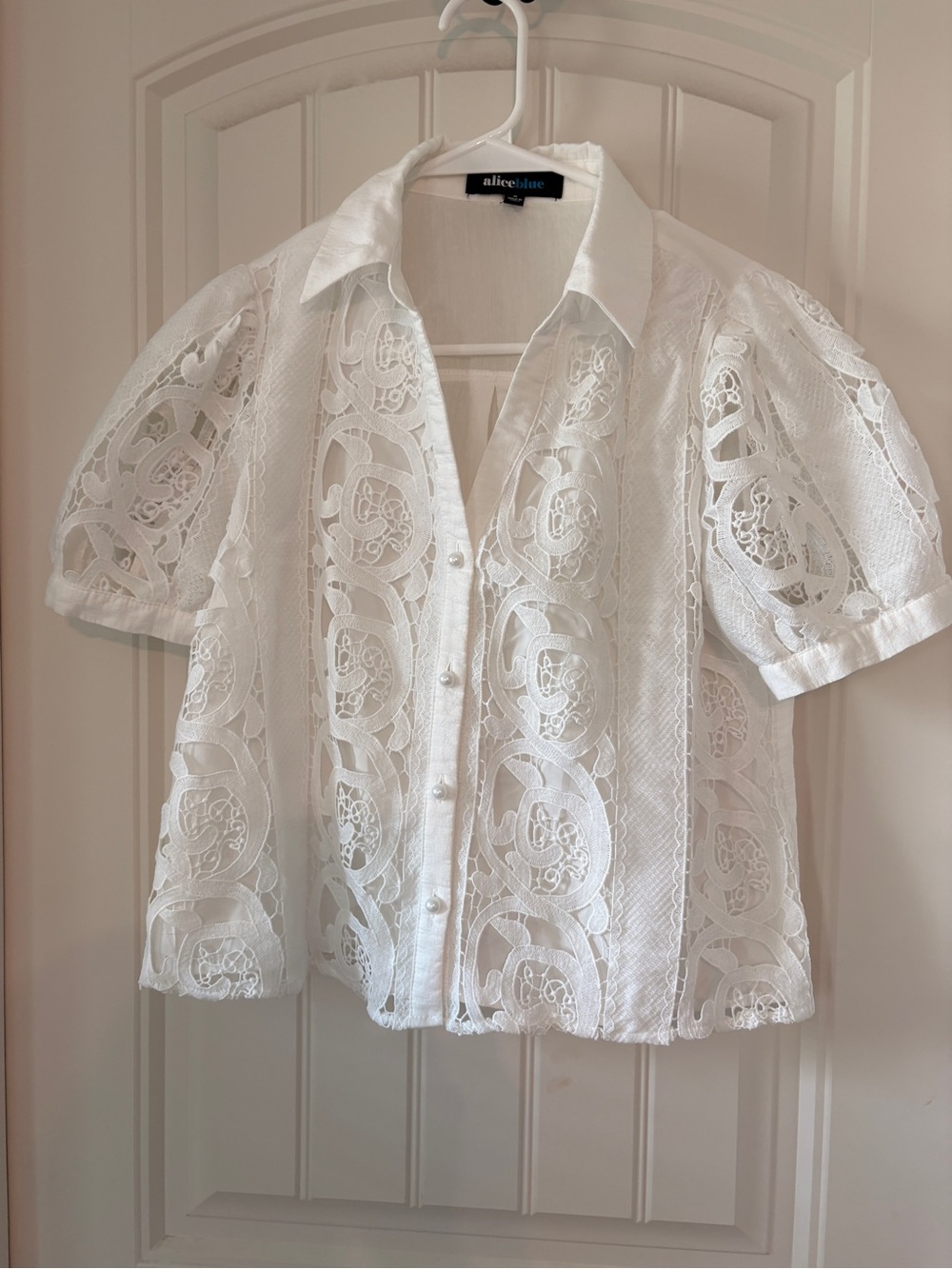 Alice Blue  White Lace Button-Down Puff Sleeve Top